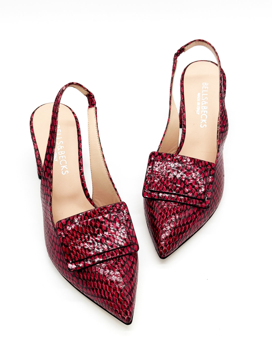 Luna Red Snake - Sample Size 37