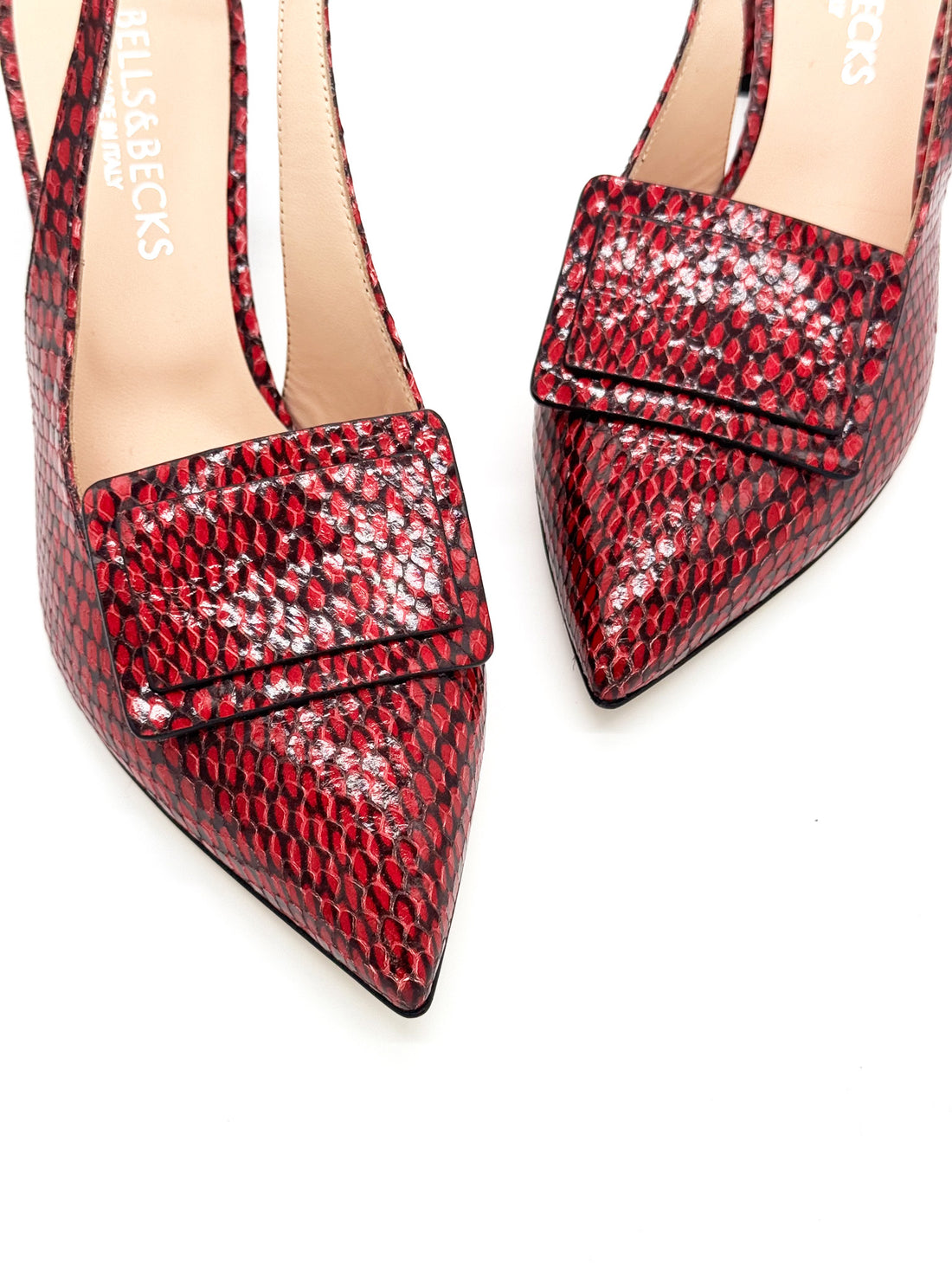 Luna Red Snake - Sample Size 37