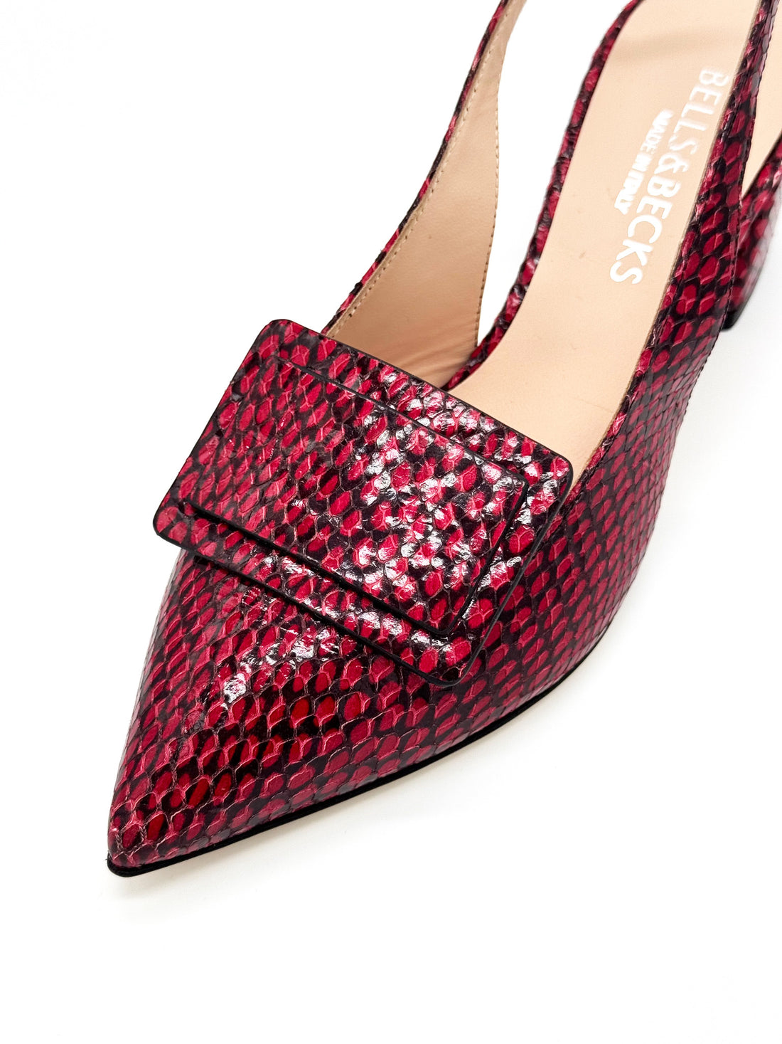 Luna Red Snake - Sample Size 37