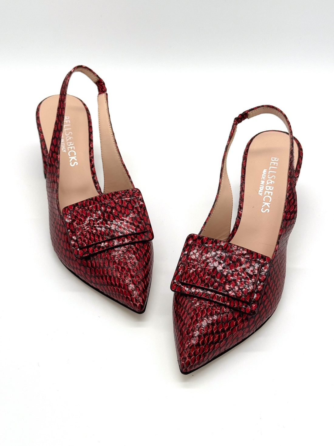 Luna Red Snake - Sample Size 37