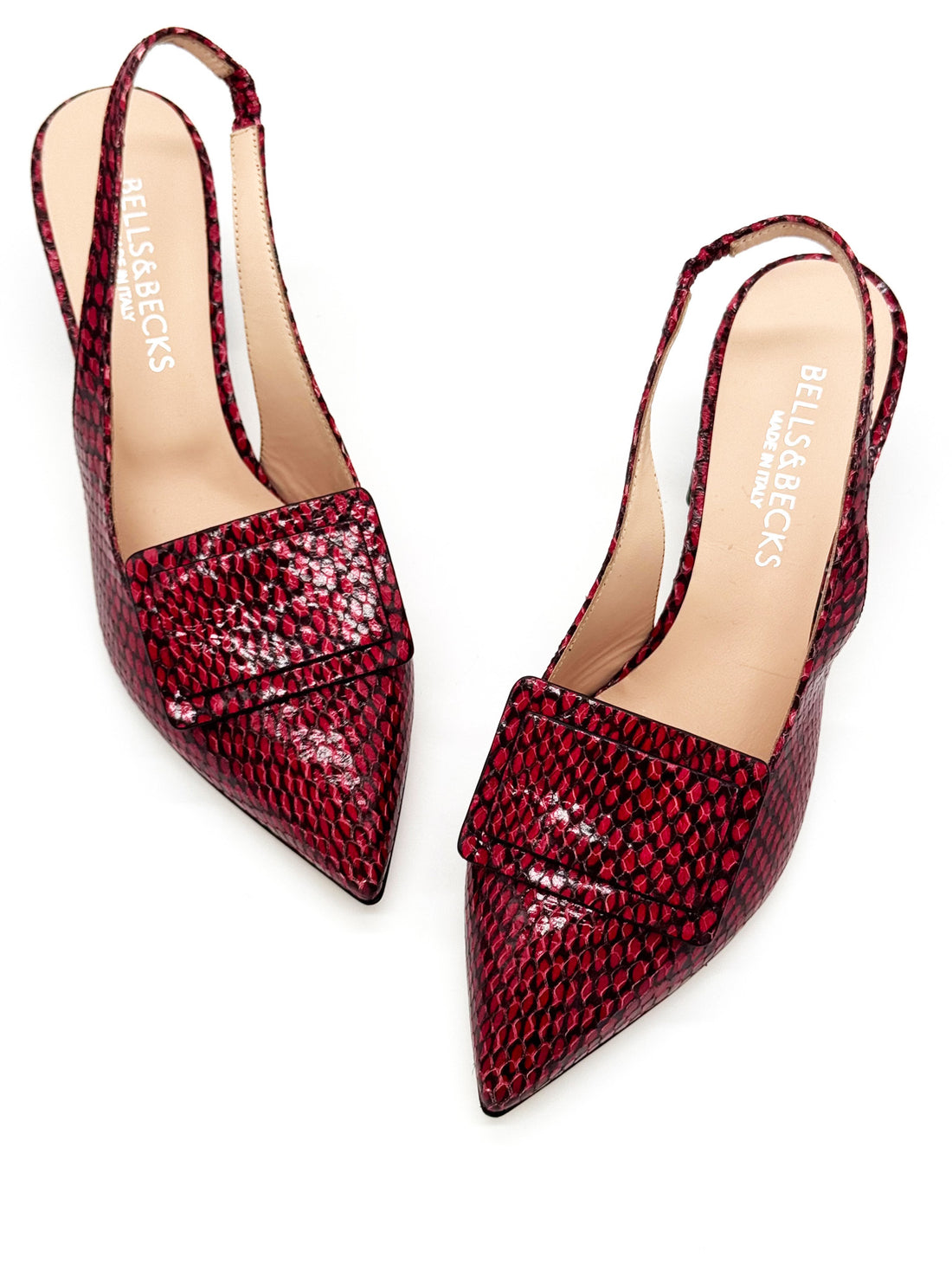 Luna Red Snake - Sample Size 37