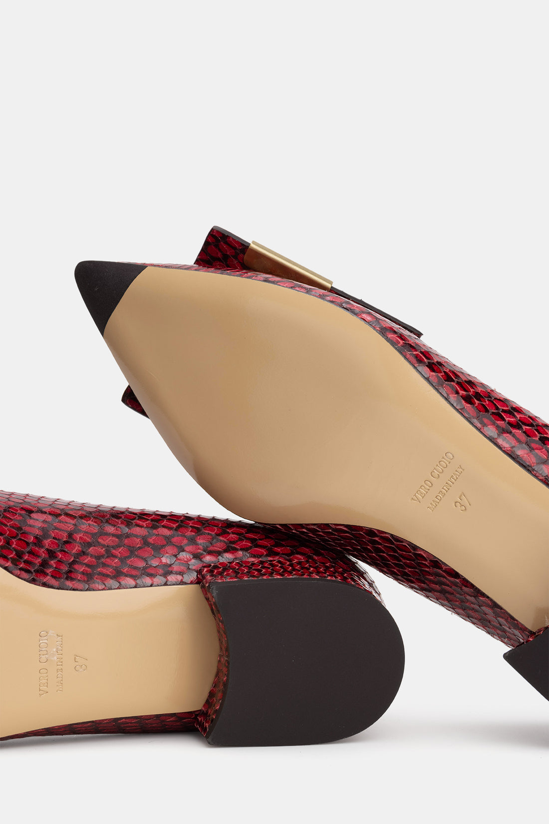 The Allegra Red