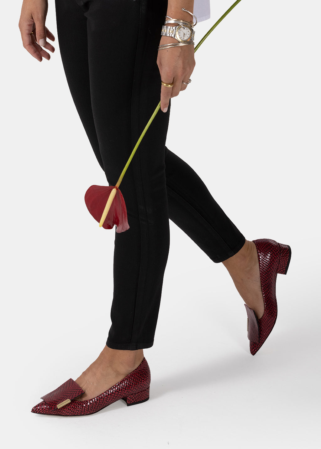 The Allegra Red