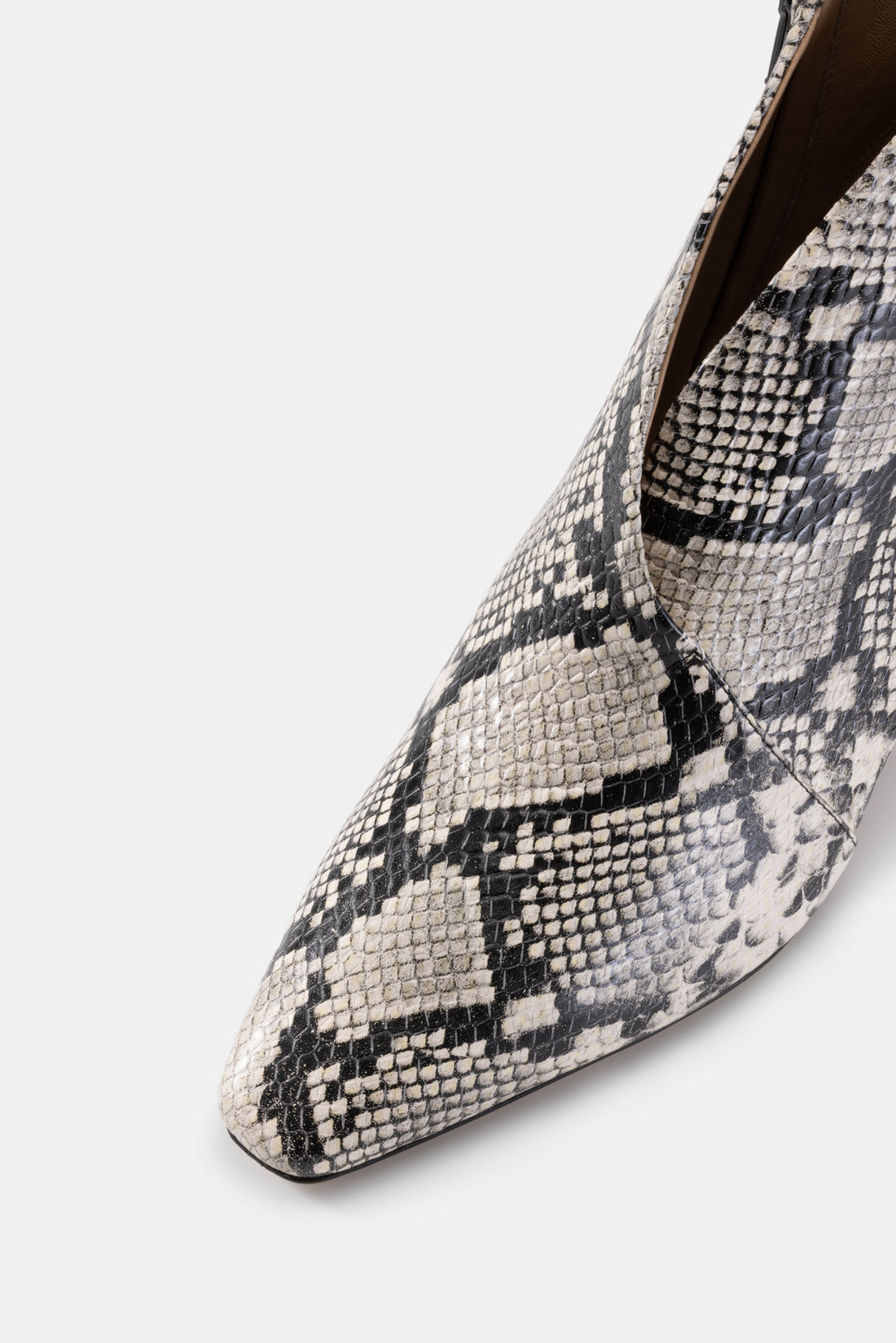 The Elena Snake
