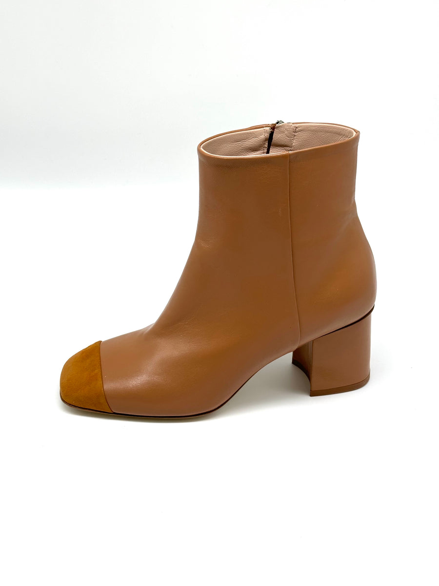 The Livia Camel - Sample Size 37