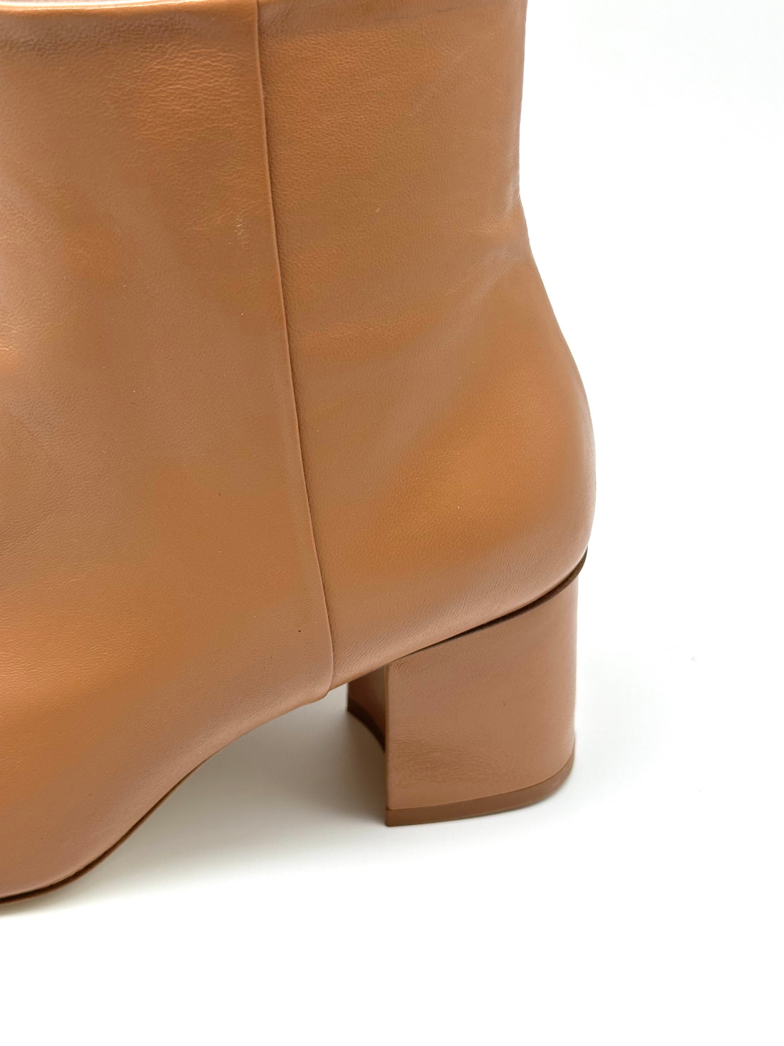 The Livia Camel - Sample Size 37