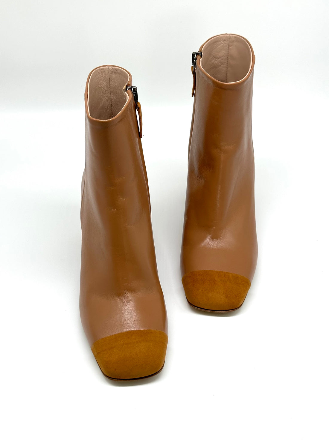 The Livia Camel - Sample Size 37